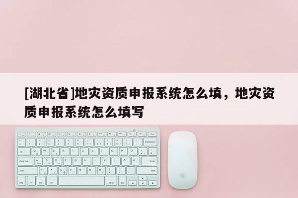 [湖北省]地災(zāi)資質(zhì)申報(bào)系統(tǒng)怎么填，地災(zāi)資質(zhì)申報(bào)系統(tǒng)怎么填寫