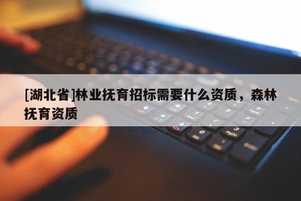 [湖北省]林業(yè)撫育招標需要什么資質(zhì)，森林撫育資質(zhì)