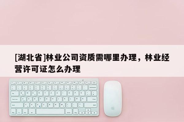 [湖北省]林業(yè)公司資質(zhì)需哪里辦理，林業(yè)經(jīng)營(yíng)許可證怎么辦理