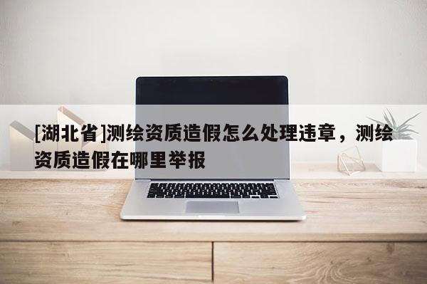 [湖北省]測繪資質(zhì)造假怎么處理違章，測繪資質(zhì)造假在哪里舉報(bào)