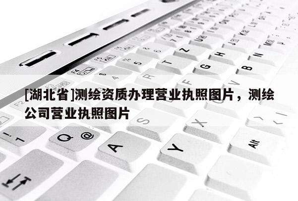 [湖北省]測繪資質(zhì)辦理營業(yè)執(zhí)照圖片，測繪公司營業(yè)執(zhí)照圖片