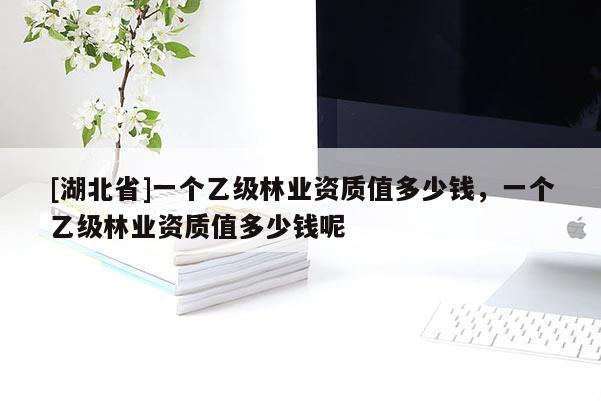 [湖北省]一個(gè)乙級(jí)林業(yè)資質(zhì)值多少錢，一個(gè)乙級(jí)林業(yè)資質(zhì)值多少錢呢