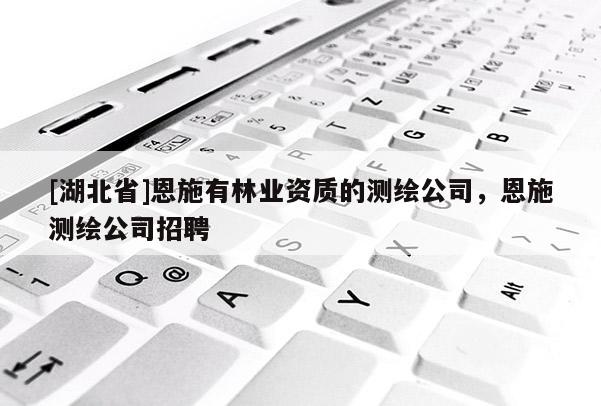 [湖北省]恩施有林業(yè)資質(zhì)的測繪公司，恩施測繪公司招聘