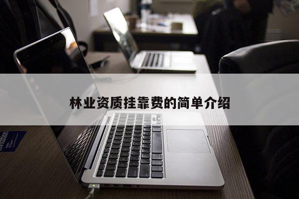 林業(yè)資質(zhì)掛靠費(fèi)的簡單介紹