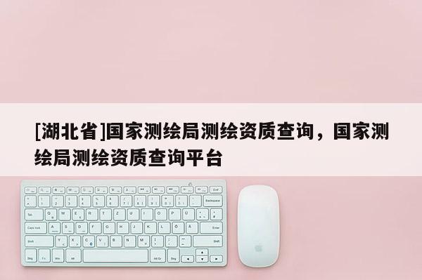 [湖北省]國家測繪局測繪資質(zhì)查詢，國家測繪局測繪資質(zhì)查詢平臺