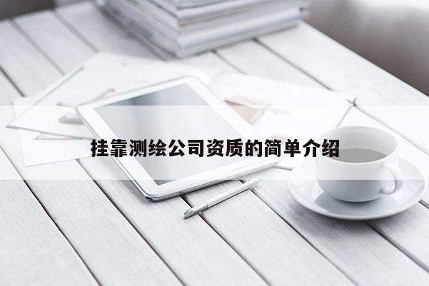 掛靠測繪公司資質(zhì)的簡單介紹