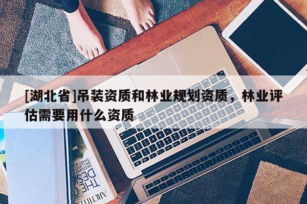 [湖北省]吊裝資質(zhì)和林業(yè)規(guī)劃資質(zhì)，林業(yè)評估需要用什么資質(zhì)
