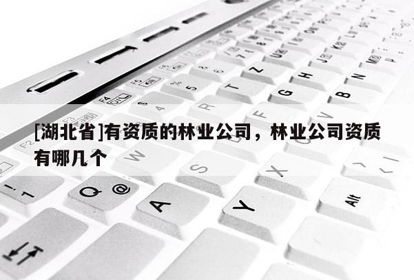 [湖北省]有資質(zhì)的林業(yè)公司，林業(yè)公司資質(zhì)有哪幾個