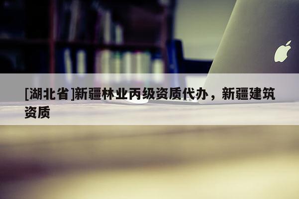 [湖北省]新疆林業(yè)丙級資質(zhì)代辦，新疆建筑資質(zhì)