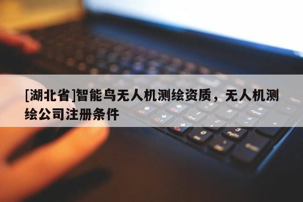 [湖北省]智能鳥無人機(jī)測繪資質(zhì)，無人機(jī)測繪公司注冊條件