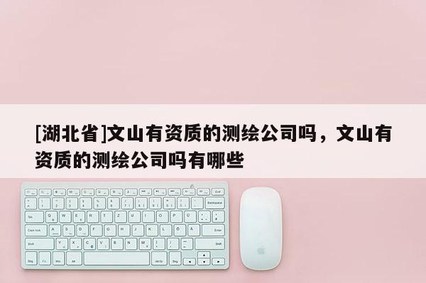 [湖北省]文山有資質(zhì)的測(cè)繪公司嗎，文山有資質(zhì)的測(cè)繪公司嗎有哪些
