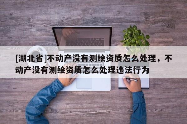 [湖北省]不動(dòng)產(chǎn)沒有測繪資質(zhì)怎么處理，不動(dòng)產(chǎn)沒有測繪資質(zhì)怎么處理違法行為