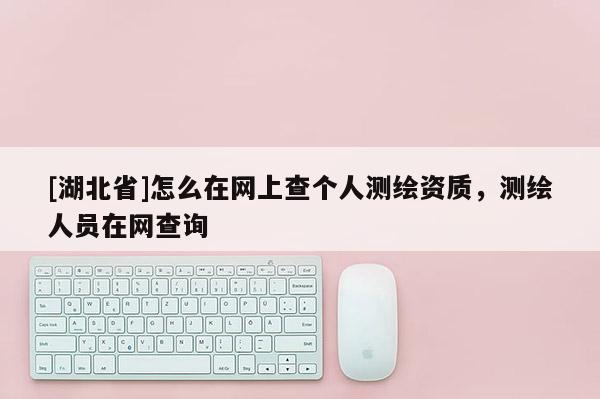 [湖北省]怎么在網(wǎng)上查個人測繪資質(zhì)，測繪人員在網(wǎng)查詢