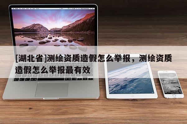 [湖北省]測(cè)繪資質(zhì)造假怎么舉報(bào)，測(cè)繪資質(zhì)造假怎么舉報(bào)最有效