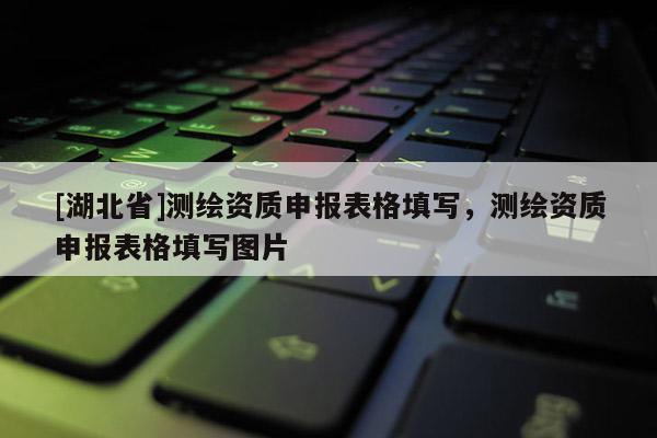 [湖北省]測(cè)繪資質(zhì)申報(bào)表格填寫(xiě)，測(cè)繪資質(zhì)申報(bào)表格填寫(xiě)圖片