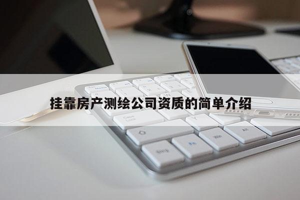 掛靠房產(chǎn)測(cè)繪公司資質(zhì)的簡(jiǎn)單介紹
