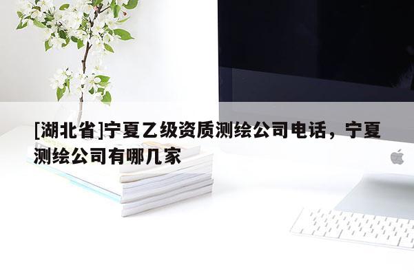 [湖北省]寧夏乙級資質(zhì)測繪公司電話，寧夏測繪公司有哪幾家