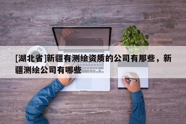 [湖北省]新疆有測(cè)繪資質(zhì)的公司有那些，新疆測(cè)繪公司有哪些