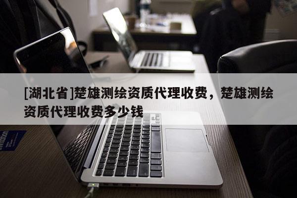 [湖北省]楚雄測(cè)繪資質(zhì)代理收費(fèi)，楚雄測(cè)繪資質(zhì)代理收費(fèi)多少錢