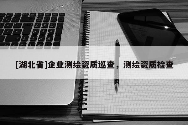 [湖北省]企業(yè)測繪資質(zhì)巡查，測繪資質(zhì)檢查