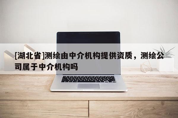 [湖北省]測繪由中介機構(gòu)提供資質(zhì)，測繪公司屬于中介機構(gòu)嗎