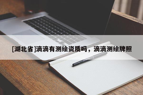 [湖北省]滴滴有測繪資質(zhì)嗎，滴滴測繪牌照