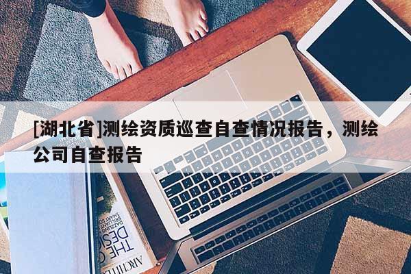 [湖北省]測繪資質巡查自查情況報告，測繪公司自查報告