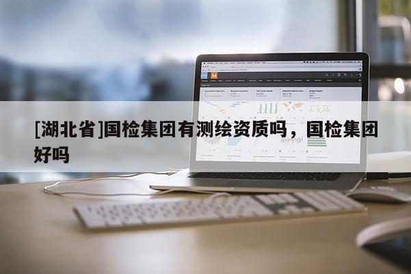 [湖北省]國檢集團有測繪資質(zhì)嗎，國檢集團好嗎