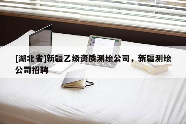 [湖北省]新疆乙級資質測繪公司，新疆測繪公司招聘