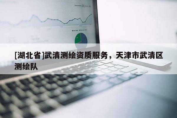 [湖北省]武清測(cè)繪資質(zhì)服務(wù)，天津市武清區(qū)測(cè)繪隊(duì)