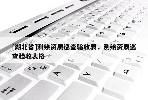 [湖北省]測繪資質(zhì)巡查驗(yàn)收表，測繪資質(zhì)巡查驗(yàn)收表格
