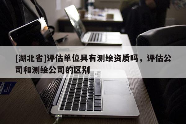 [湖北省]評估單位具有測繪資質(zhì)嗎，評估公司和測繪公司的區(qū)別
