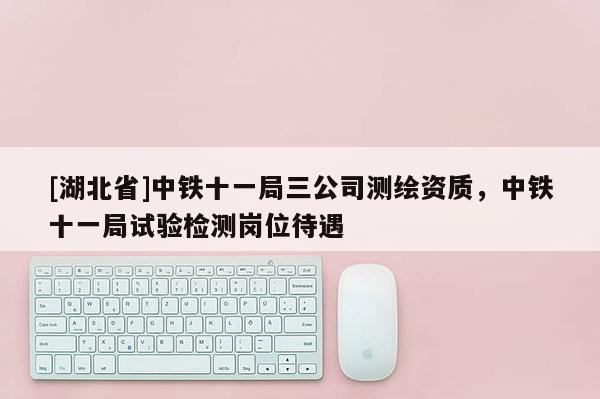 [湖北省]中鐵十一局三公司測繪資質(zhì)，中鐵十一局試驗(yàn)檢測崗位待遇