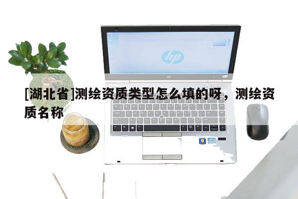 [湖北省]測(cè)繪資質(zhì)類型怎么填的呀，測(cè)繪資質(zhì)名稱