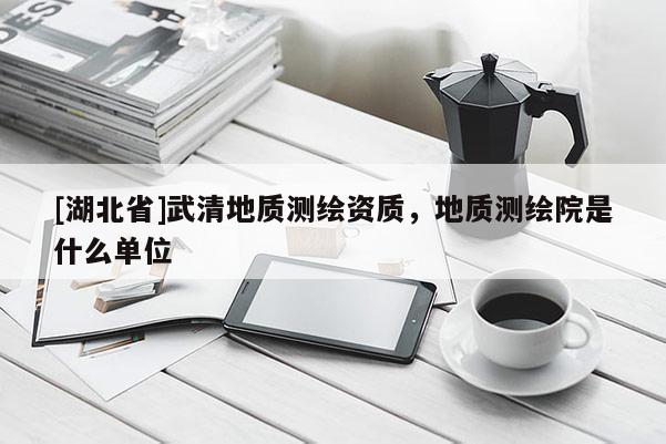 [湖北省]武清地質(zhì)測繪資質(zhì)，地質(zhì)測繪院是什么單位
