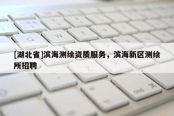 [湖北省]濱海測繪資質服務，濱海新區(qū)測繪所招聘