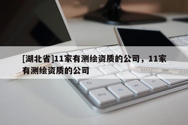 [湖北省]11家有測繪資質(zhì)的公司，11家有測繪資質(zhì)的公司