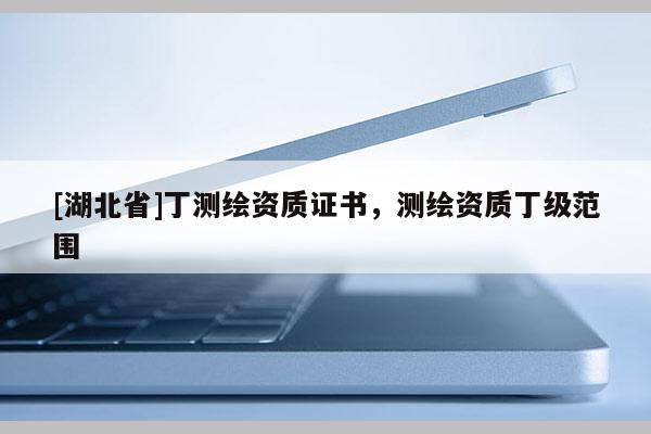 [湖北省]丁測繪資質(zhì)證書，測繪資質(zhì)丁級范圍