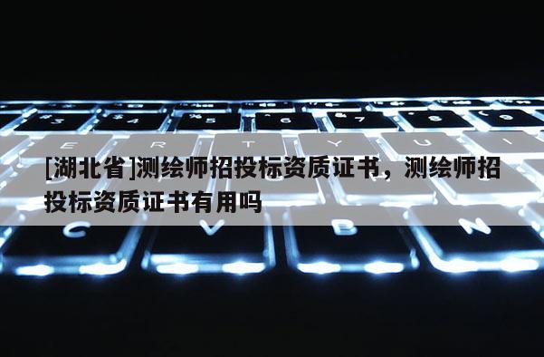 [湖北省]測繪師招投標(biāo)資質(zhì)證書，測繪師招投標(biāo)資質(zhì)證書有用嗎