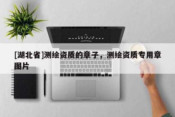 [湖北省]測(cè)繪資質(zhì)的章子，測(cè)繪資質(zhì)專用章圖片