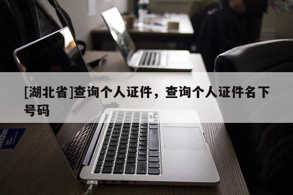 [湖北省]查詢個人證件，查詢個人證件名下號碼